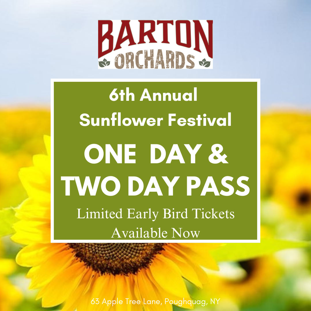 Sunflower Festival Pass
